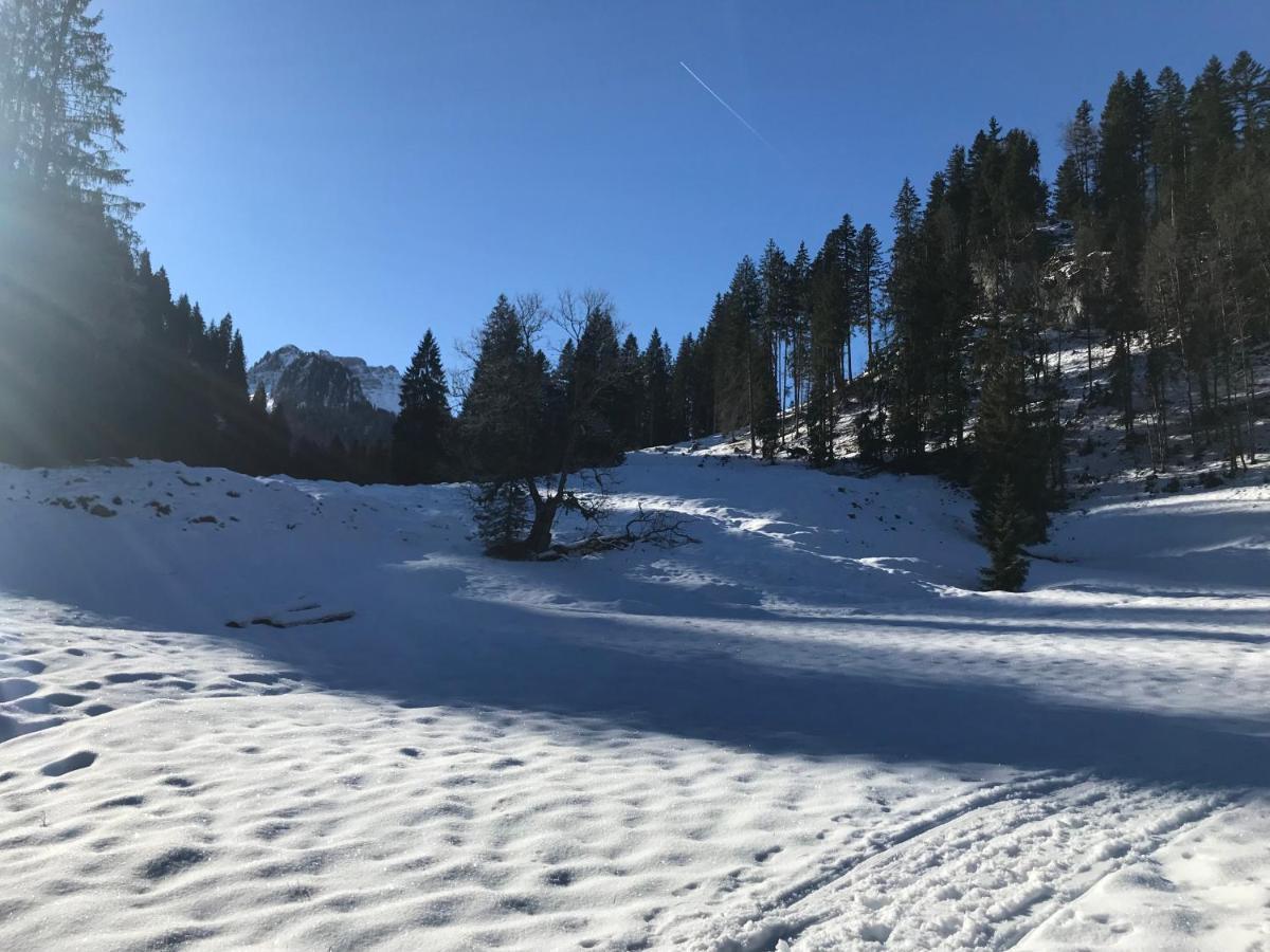 Ferienwohnung Krähenberg am Rande der Wildnis Sibratsgfäll Exterior foto