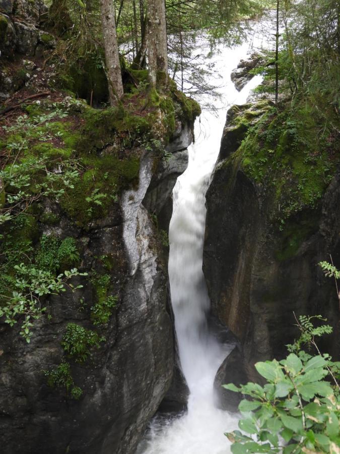 Ferienwohnung Krähenberg am Rande der Wildnis Sibratsgfäll Exterior foto